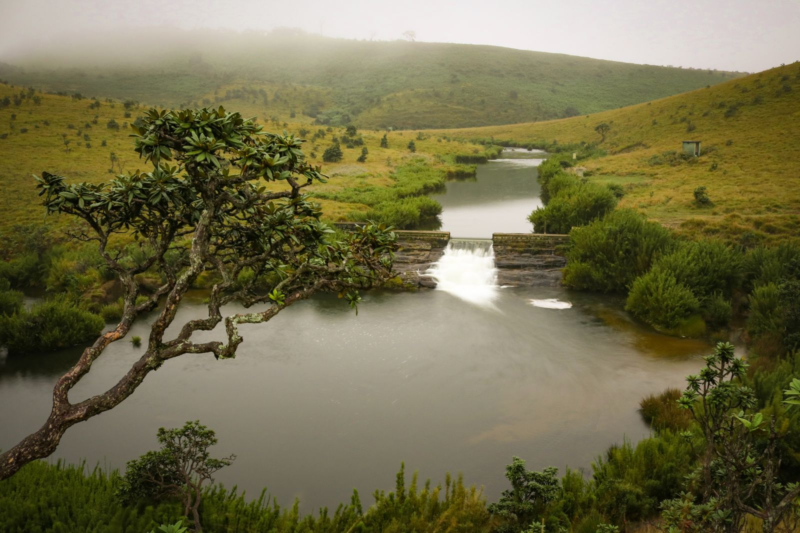 Horton Plains