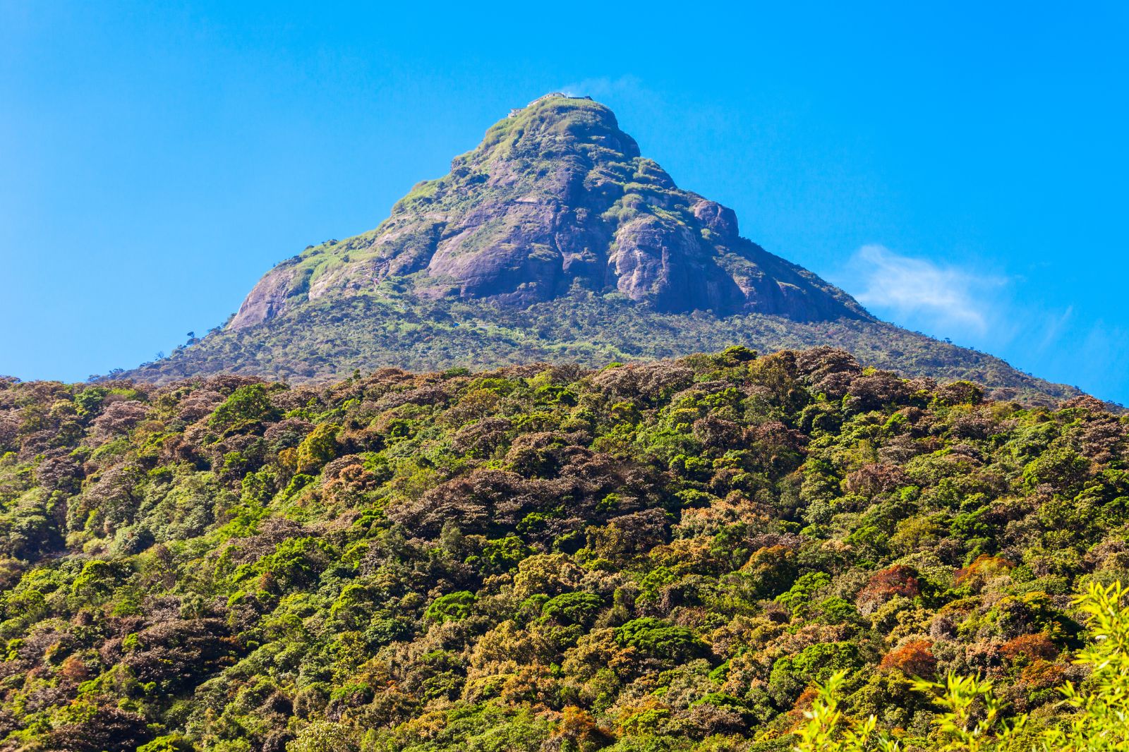 Adams Peak